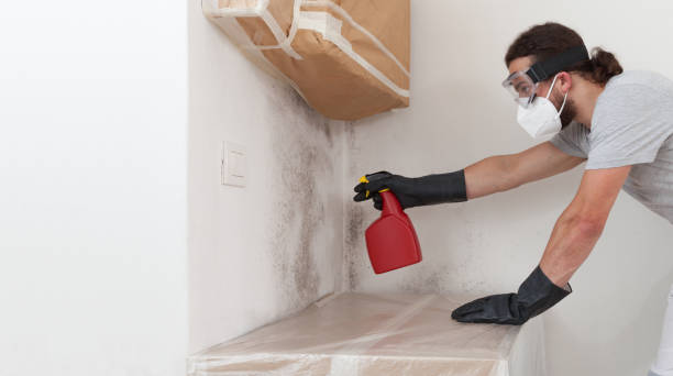 Professional Mold Remediation technician working in Tewksbury, MA