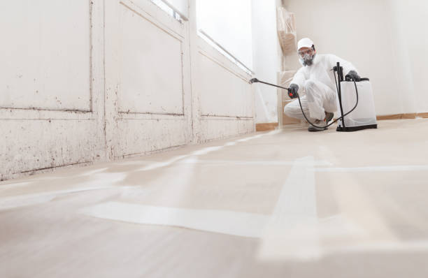 24/7 Emergency Mold Remediation experts in Tewksbury, MA